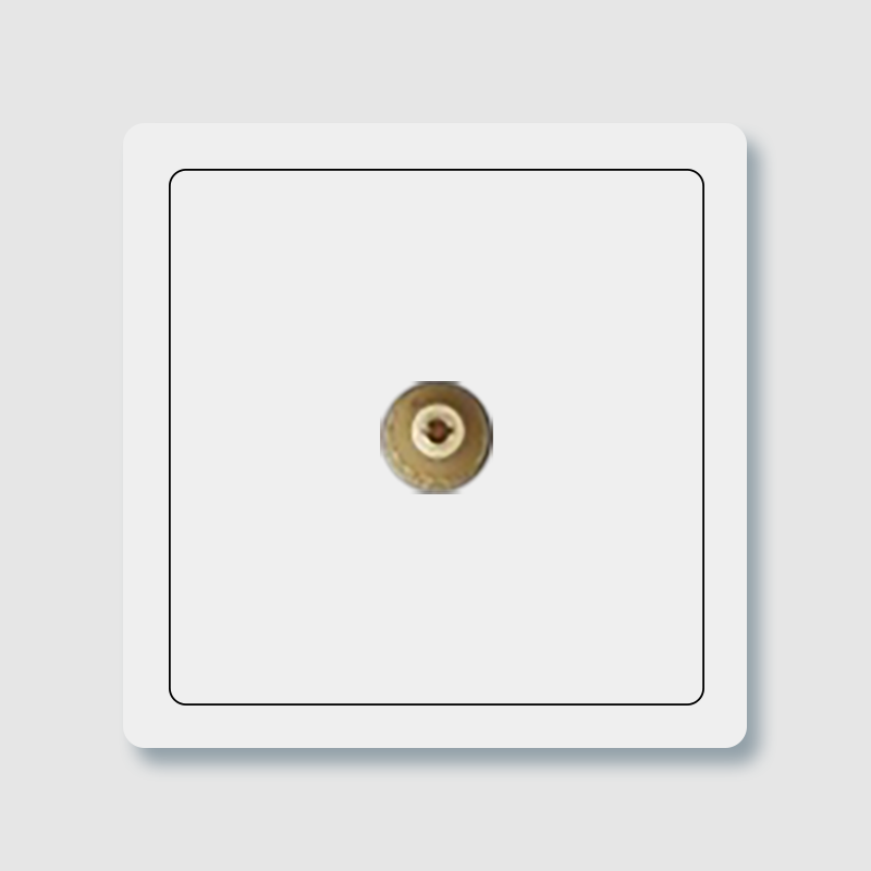 KS2019<br>TV socket with input and output